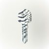 10x Fancy UN5D Zebra 310 (Universal)
