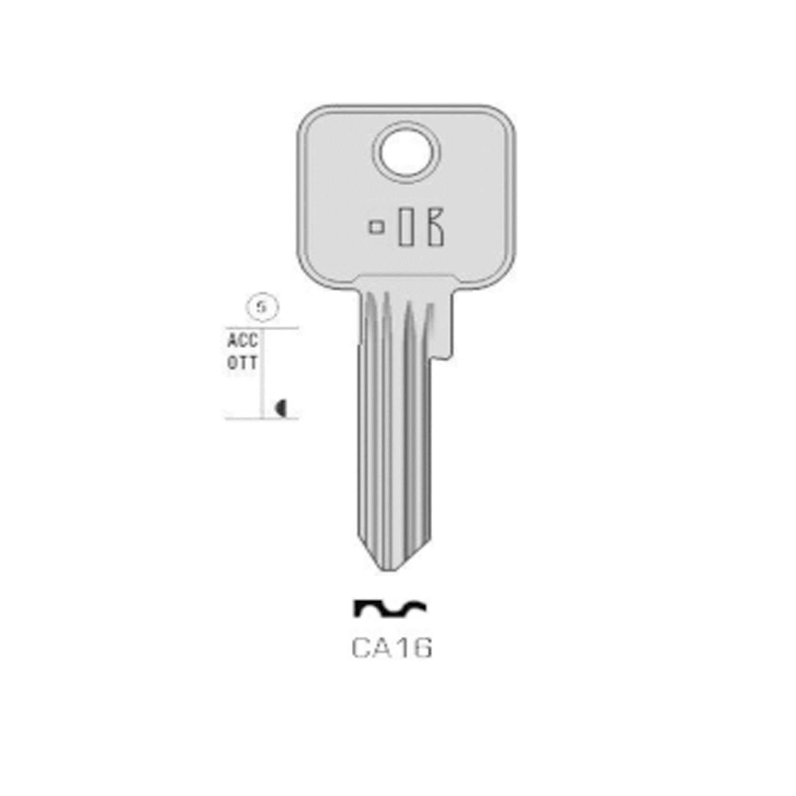 CISA - CA16#K100