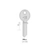 CISA – CA19S#K100