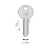 CISA – CA4D#K100