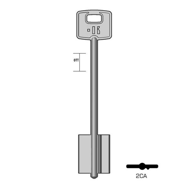 CISA - 2CA