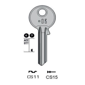 CES – CS11#K100