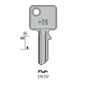 CES – CS12#K100