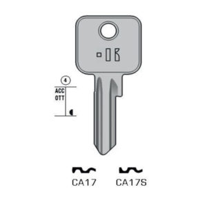 CISA – CA17#K100