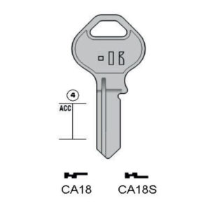 CISA – CA18S#K100