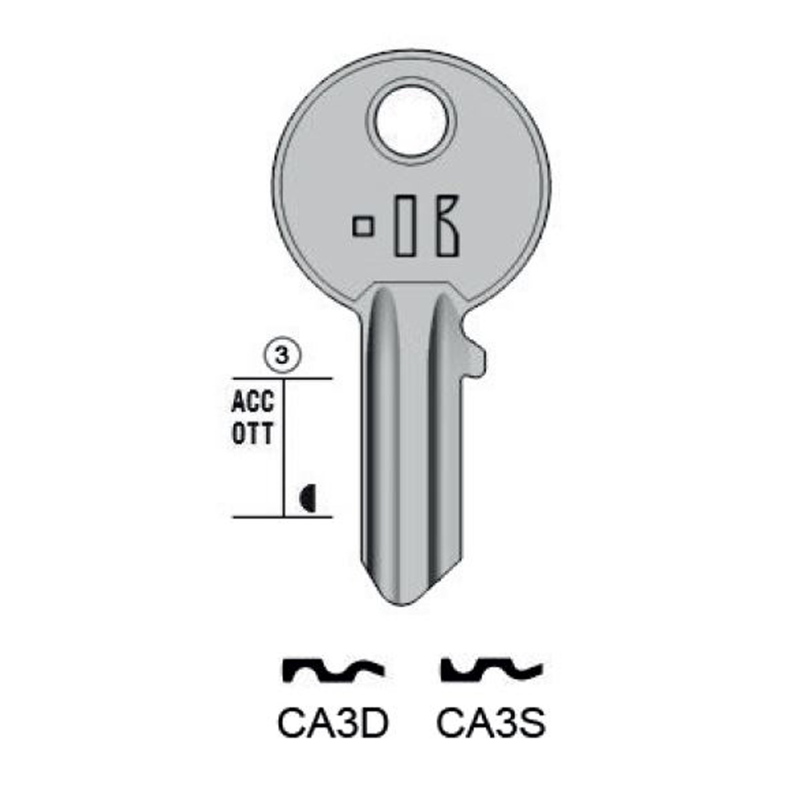 CISA – CA3S#K100