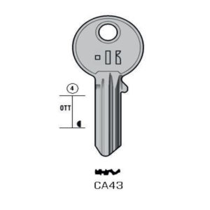 CISA – CA43#K000