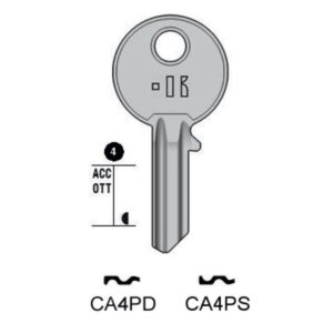 CISA – CA4PS#K100