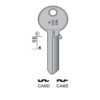 CISA – CA6S#K100