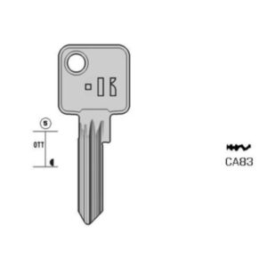 CISA – CA83#K000