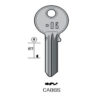 CISA – CA86S#K000