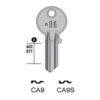 CISA – CA9#K100