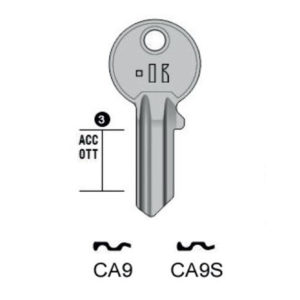 CISA – CA9#K100