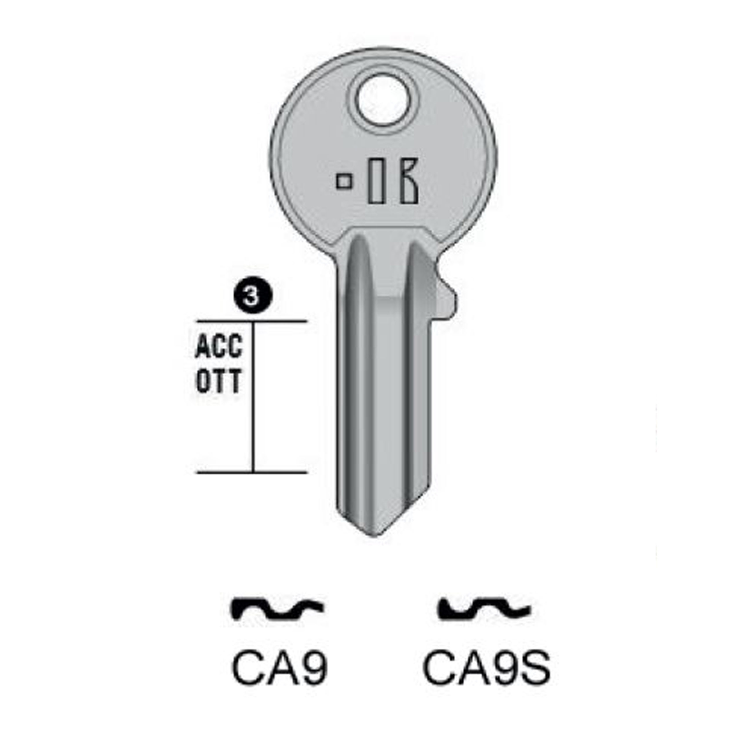 CISA – CA9#K100