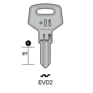 EVERGOOD (RC) - EVD2#K100