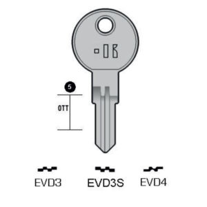 EVERGOOD (RC) - EVD3#K100
