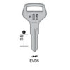 EVERGOOD (RC) - EVD5#K100