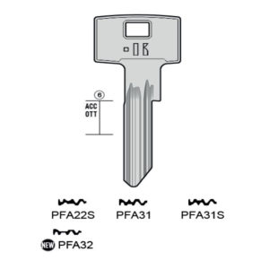 PFAFFENHAIN – PFA32#K100 Hauptschlüssel