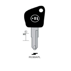 Fahrzeugschlüssel - PG30APL#K141