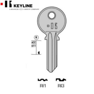 RI1#K100